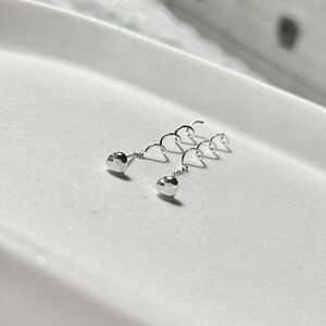 Sterling Silver Earrings